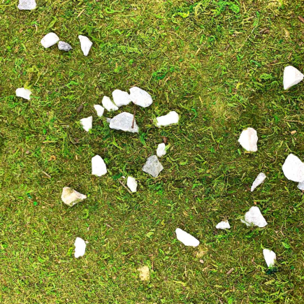 Moss grass paper with stones, 70 x 50 cm