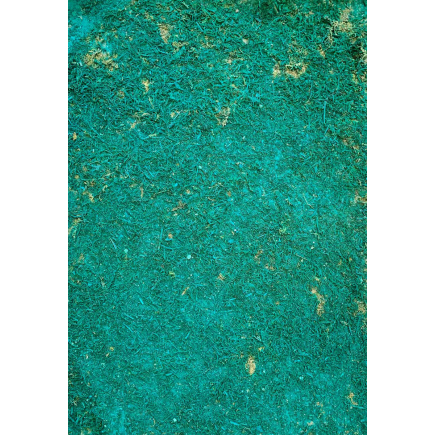 Moss paper for nativity scenes, 70 x 50 cm