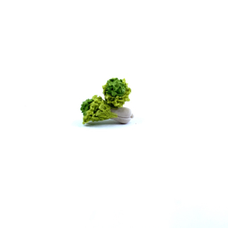 Fennel 2.3 cm