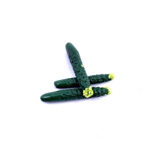 Zucchini approx. 2 cm (1 pc)