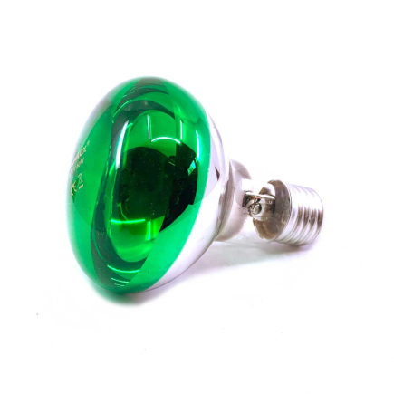 SPOT Lamp 60W - GREEN