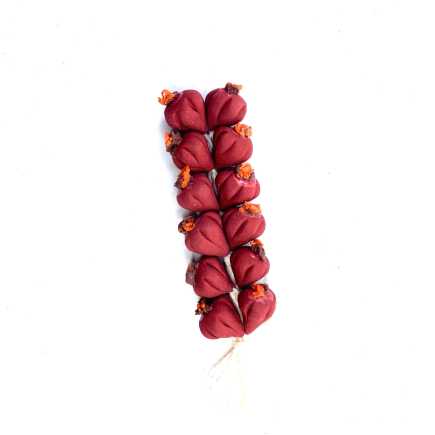 Red onion braid for a nativity scene