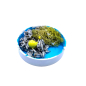 Anchovy box 5 cm