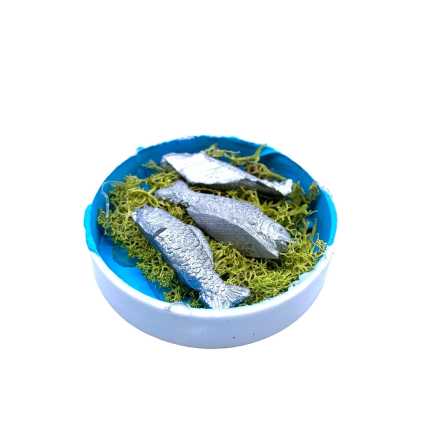 Fish box 5 cm