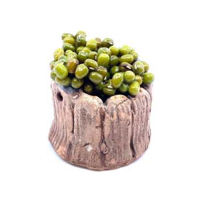 Tub with olives 3 x 3.5 cm