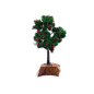 Albero di mele 13 cm Albero di mele 13 cm