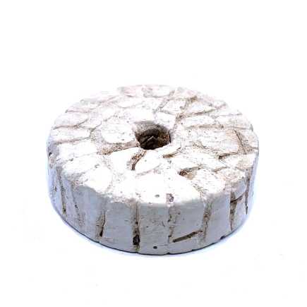 Palma doppia cm 20/21