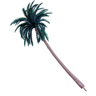 Palma 16 cm ad innesto