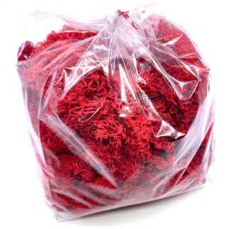 Lichene rosso corallo busta gr. 200