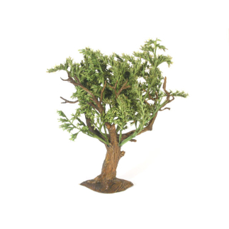 green-leaved tree - h. 14 cm