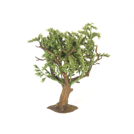 green-leaved tree - h. 14 cm