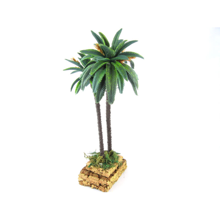 Double palm tree, 20/21 cm