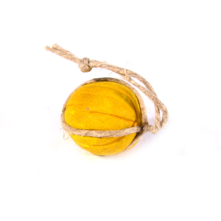 Yellow melon