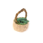 Basket with fava beans