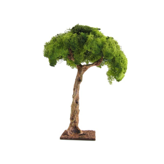 25 cm oak tree for nativity scenes