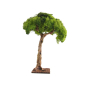25 cm oak tree for nativity scenes