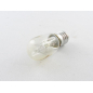 15W bulb - transparent white