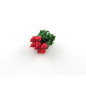 Bunch of 12 Radishes