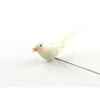 Little bird with white plumage