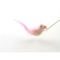 Little bird with pink plumage