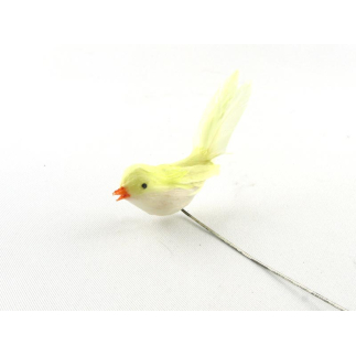Little bird with yellow plumage