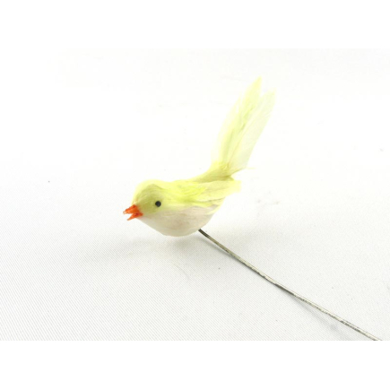 Little bird with yellow plumage