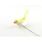 Little bird with yellow plumage