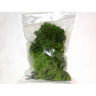 Light green lichen bag 50 g