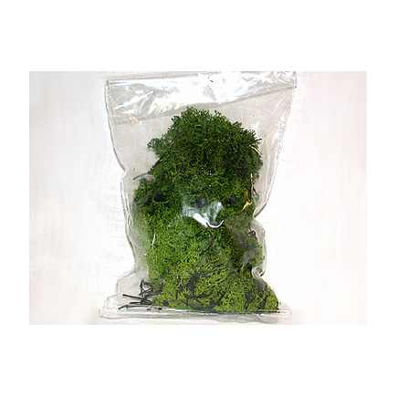 Light green lichen bag 50 g