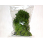 Light green lichen bag 50 g