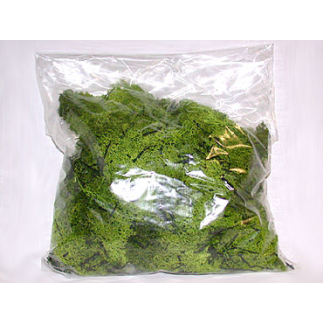 Light green lichen bag 200 g