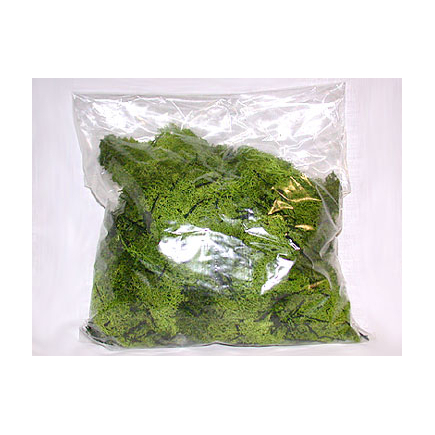 Light green lichen bag 200 g