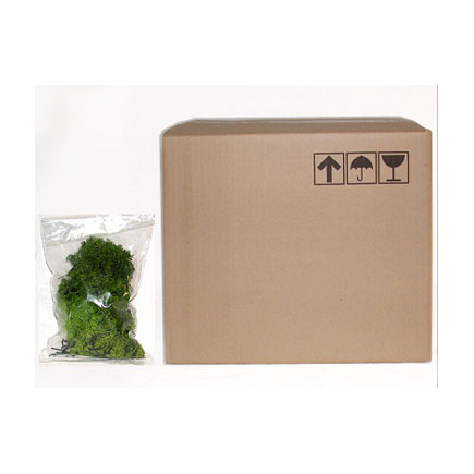 Light green lichen box 2 kg