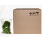 Light green lichen box 2 kg