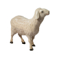 Standing Sheep Rudolf Nativity Scene 9 cm