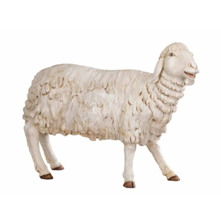 Standing sheep for 180 cm