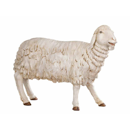 Standing sheep for 180 cm