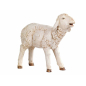 Lamb for 180 cm