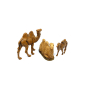 3 assorted camels, 3.5/6 cm - Landi Moranduzzo figurines 3 assorted camels, 3.5/6 cm - Landi Moranduzzo figurines