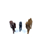 Camel, horse, donkey 6 cm - Landi Moranduzzo figurines