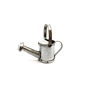 5.5 cm watering can