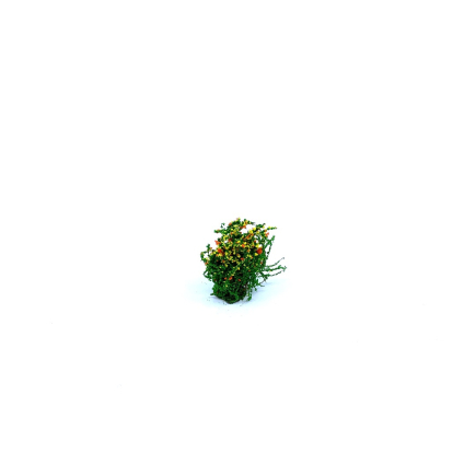 Flowering bush