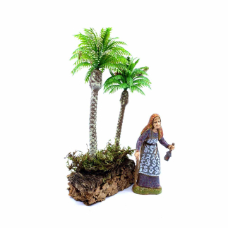 Double palm tree 16/17 cm