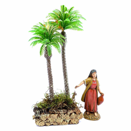 Double palm tree, 20/21 cm