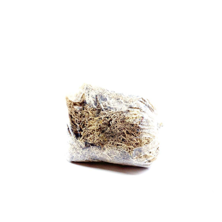 White lichen, 50 g bag