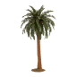 Nativity scene palm tree height 50 cm
