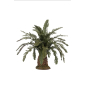 Dwarf palm for nativity scenes height 12 cm
