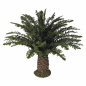 Dwarf palm for nativity scenes height 16 cm