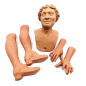 Head, Hands, Feet - Woman 30 cm