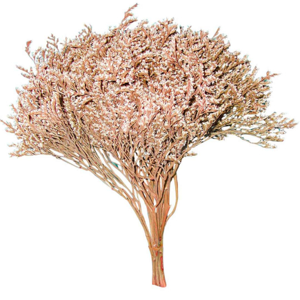 Miniature flowering hedge for nativity scenes